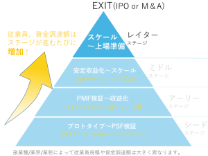 レイターステージ